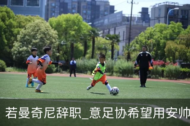 若曼奇尼辞职 意足协希望用安帅或卡纳瓦罗替代
